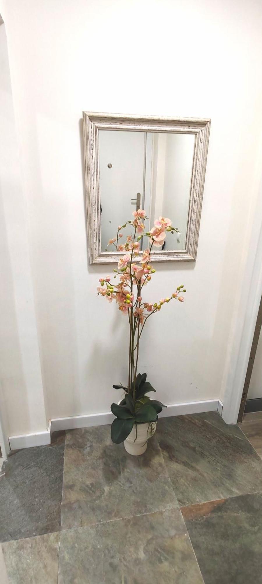 Casa El Oasis Apartment Madrid Ngoại thất bức ảnh